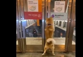 А Вы точно внимательно смотрели?
