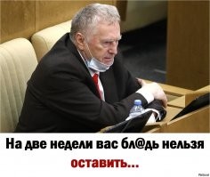 Жириновский приходит в норму и ругается