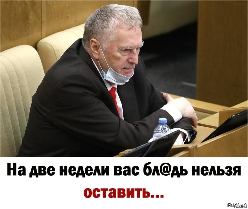 Жириновский приходит в норму и ругается