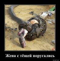 Женщина поймала змею голыми руками