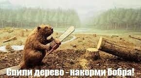 19 снимков, которым просто необходимы пояснения