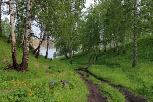 "Погрузил скутер в автобус, доехал куда надо по трассе, вышел, разложил его и едешь к водоёму, а на месте превращаешь его в удобную табуретку." В Японии может быть. Но в России по дороге к водоёму для рыбалки на такой табуретке в основном хер проедешь. Не знаю у кого как, а у меня на даче дороги к реке/озеру выглядят как-то так. Зато там действительно нормальную рыбу ловить можно.