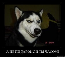 автор, если тебе стыдно за гомофобные страны