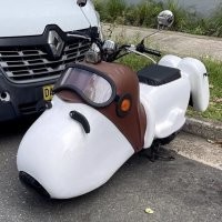 А вот такую племяшу, сын уже вырос.