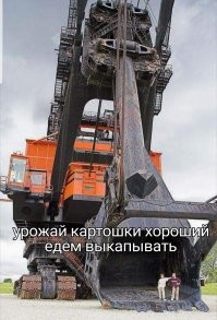 Картинки которые заставят улыбнуться