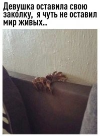 40 странных фотографий, от которых становится не по себе