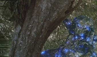 Ситуации, когда люди и животные проявляли внезапное мастерство маскировки