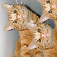 Пулены, намакшины, кломпы:12 странных пар обуви из прошлого