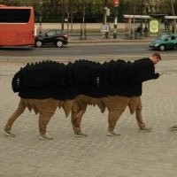 Харламов ))