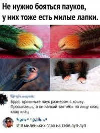 ну если это, что то вроде этого, то не против!