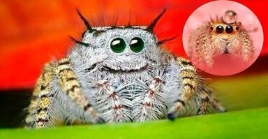 ну если это, что то вроде этого, то не против!