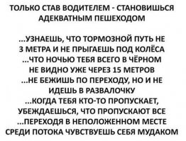 Пешеходов надо лишить чувства вседозволенности