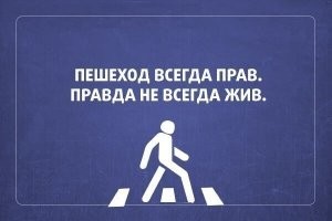 Пешеходов надо лишить чувства вседозволенности