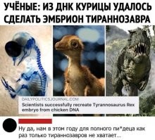 В Европу выпустить. Согреются, проблем с продуктами не будет, с мигрантами, с Гретой Тунберг, с удобрениями (представляю, как гадит эта птичка), с ожирением, с старением нации и т.д. и т.п.
