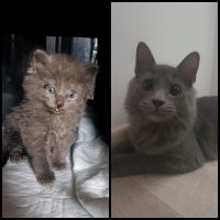 Мякиш :) сидел на трассе, ждал меня