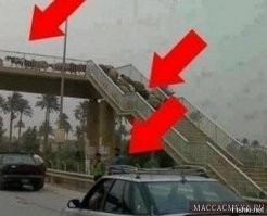 Пешеходов надо лишить чувства вседозволенности