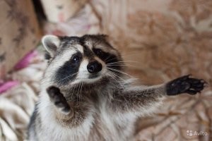 Демотиваторы: свежие и смешные 