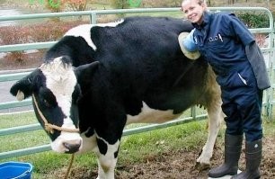 13 изображений, показывающих бесконечность человеческого дебилизма