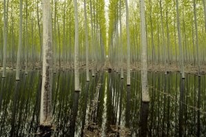 Очень похоже ;)