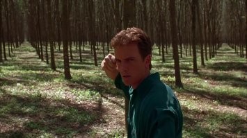 Очень похоже ;)