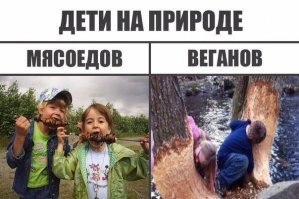 Учёные рассказали о продолжительности жизни мясоедов и веганов