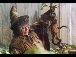 22 фото занятных вещиц, которые не каждый день увидишь