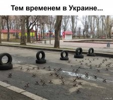 Ваши йододефицитные уже наставили этих изобретений.  
И да, калибрам как-то пофиг на ежей.