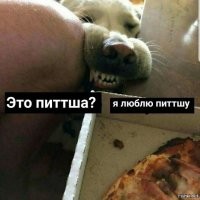 Смешные и познавательные картинки