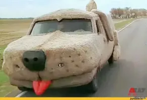 На общую тему