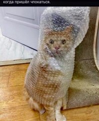 зашита нужна
