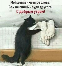 В этом девизе 5 слов, б@еадь!