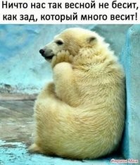 Решил заняться ЗОЖ, а на дворе 2022-й год