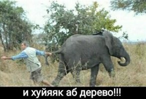 Половой вопрос