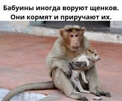 И я даже знаю зачем!