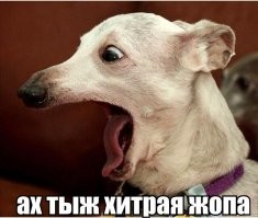 Найдётся каждый: реакция соцестей на слив базы данных "Яндекс.Еды"