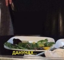 Мемы с котом, который каламбурит по полной