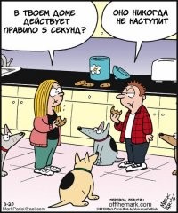 Не ищите здесь смысл. Здесь в основном маразм