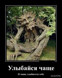 Дендрологическая подборка для тех, кто устал от всего "вот этого"