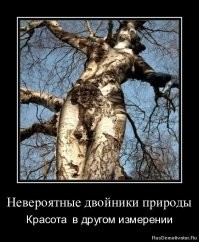 Дендрологическая подборка для тех, кто устал от всего "вот этого"