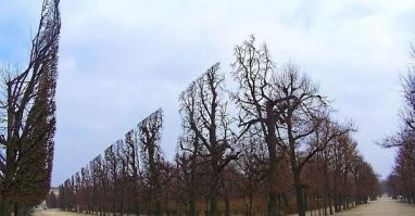 В круг парка такие же дороги :) видать на скорую руку делали , пускай Байден по ямам сегодня покатается , их посольство как раз на выходе из парка :)