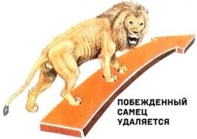 Не ищите здесь смысл. Здесь в основном маразм