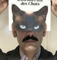 кот Боярского