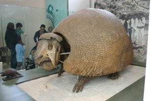 Гигантский броненосец