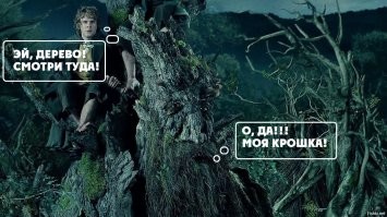 Дендрологическая подборка для тех, кто устал от всего "вот этого"
