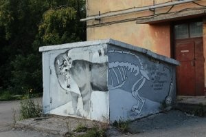 Чем прославился кот Шрёдингера