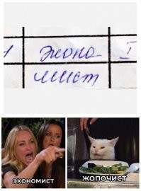 Мемы с котом, который каламбурит по полной