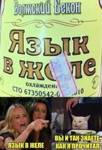 Мемы с котом, который каламбурит по полной