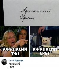 Мемы с котом, который каламбурит по полной