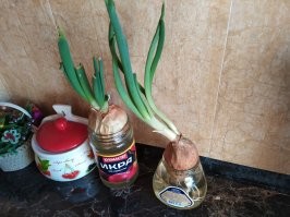 6 советов про экономию, актуальных и в СССР, и сейчас
