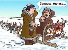 "Колёсико спустилось": хаски решил передохнуть